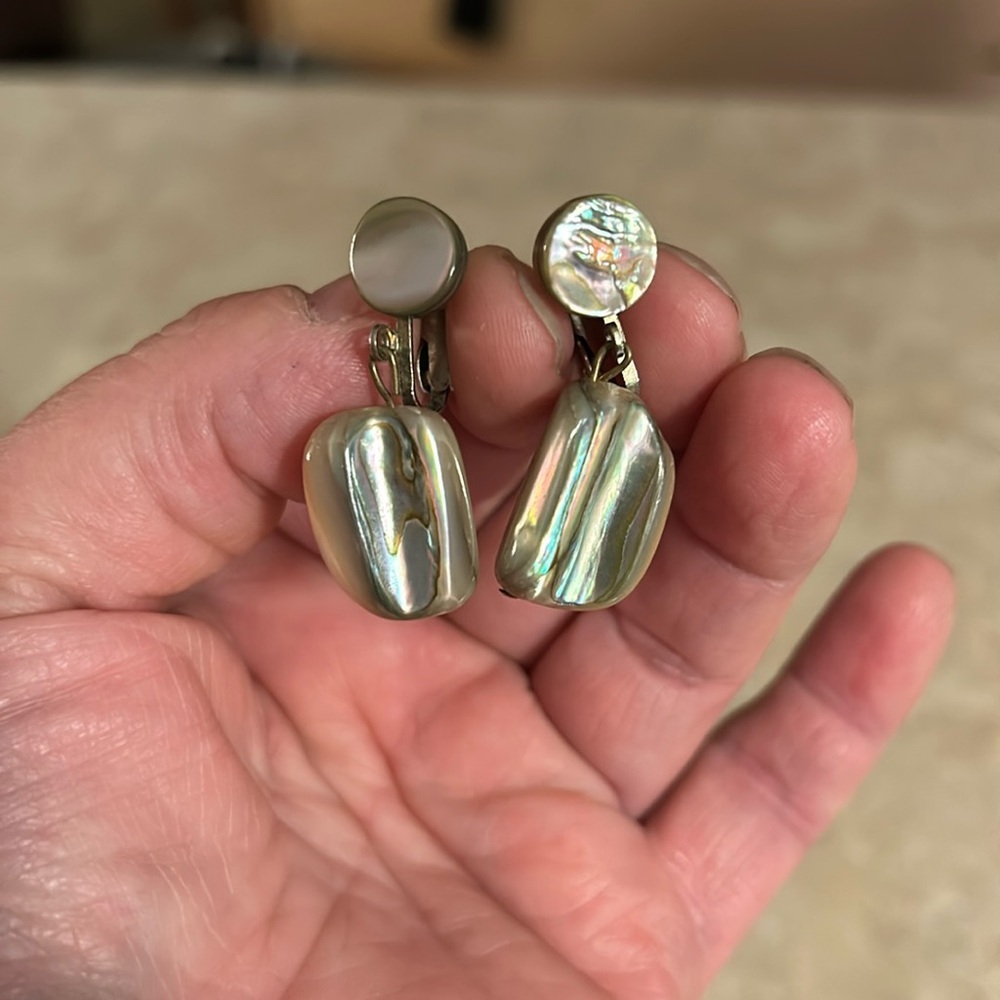 Costume jewelry earring with shell